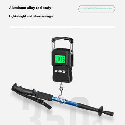 AOLIKES 3401 Lightweight Aluminum Alloy Trekking Pole 4 Sections Adjustable Hiking Stick