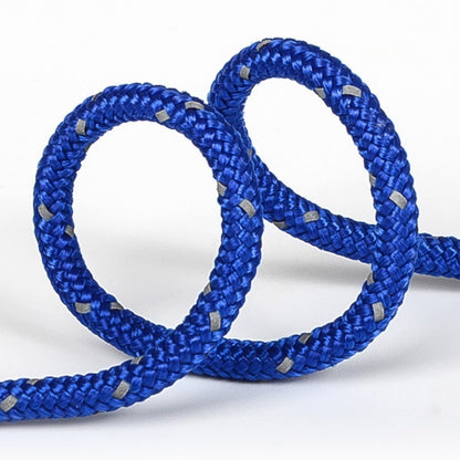 1 Bundle of Reflective Tent Canopy Rope 4mmx4m Lightweight Line Cord with Tensioner for Outdoor Fishing Climbing Rescue Camping