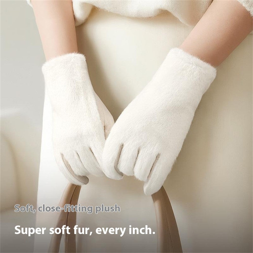 DY56 1 Pair Gloves for Winter Outdoor Windproof Cycling Touchscreen Fleece Lined Gloves