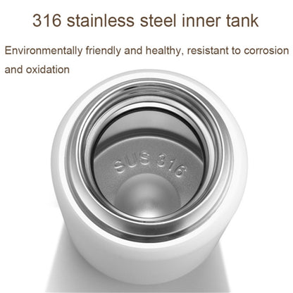 430ml Hammered Texture Lid 316 Stainless Steel Insulated Water Bottle with Tea Strainer (BPA-Free, No FDA Certification)