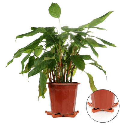 12Pcs Gardening Flower Pot Foot Pad PP Ventilation Plant Pot Heighten Base