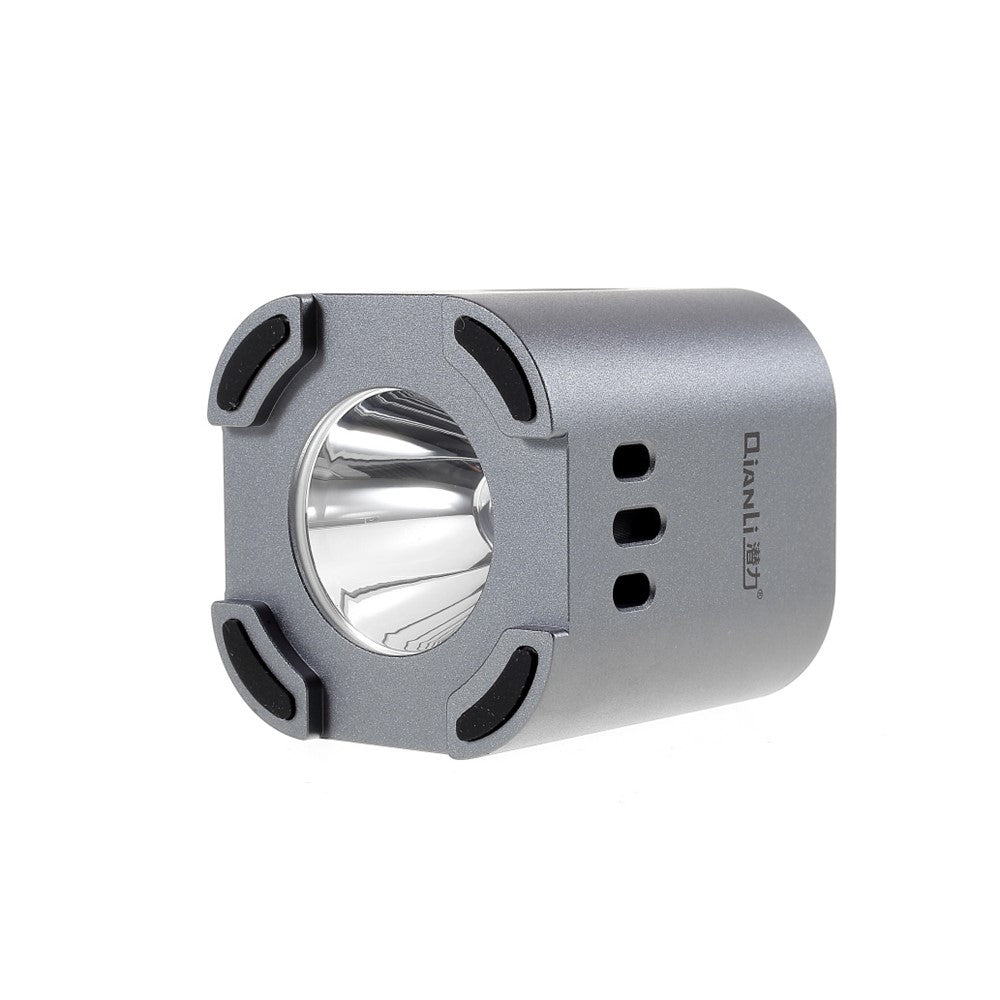 QIANLI IUV Green Oil Curing Lamp